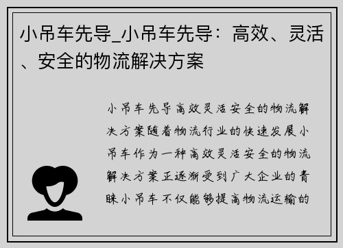 小吊车先导_小吊车先导：高效、灵活、安全的物流解决方案